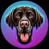 Rocko