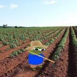 쓰레기가 보면 볼수록 그럴싸해지는 폐지 입문생활방 Chat
