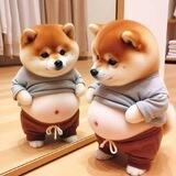 星辰白资收u代付 24h在押1700u