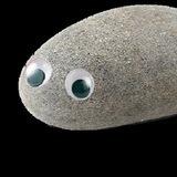 🪨PET $ROCK🪨 portal