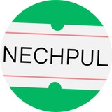 NECHPUL — pul haqidagi media