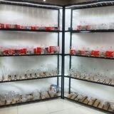 پخش بلور یگانه