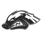 HB BOXING | HONEY BADGER