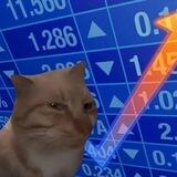 freshcat on solana