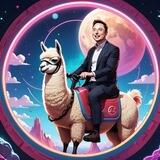 $SOLAMUSK