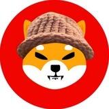 shibwifhat - $SWIF