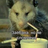 COVEN щитпост