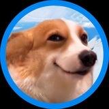 Cheeky $DAWG
