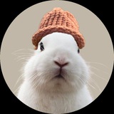 rabwifhat