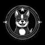 GrokDogeX | Portal