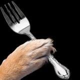 Dog wif Fork $WORK