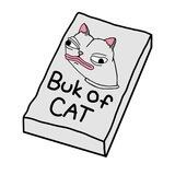 Buk of CAT