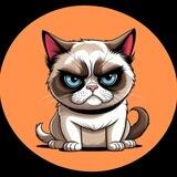 GRUMPY CAT | $GRYPCAT | AUTO BURN & LIQUIDITY