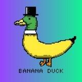 Banana Duck 🍌🦆| Portal