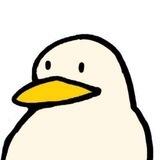 Duckers CTO | Portal