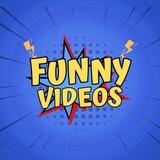 Funny Videos