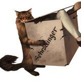 Schrodinger's Cat on Solana!