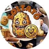 SOLTATO - Portal