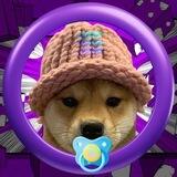 babydogwifhat - $BWIF