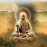 91外围项目组