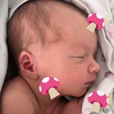 ГРИБНЫЕ ДЕТКИ 🍄🤱❤️