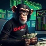$DARE Portal