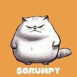 Grumpythecat