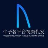 公群1337 各大平台视频代发灰姑娘上押2000U