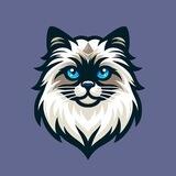 $MASYA - Vitalik's CAT