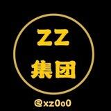 zz项目群