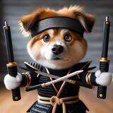 NINJA (aka Dog wif nunchucks)