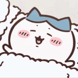可可数据号正版