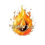 BURN 3.0 共识群