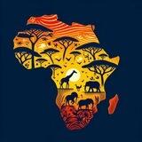 African Coin Portal