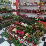 🌷XONOBOD FLOWERS SHOP💐