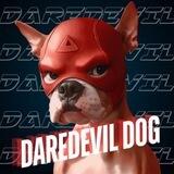 Daredevil Dog - ETH OG MASK DOG - PORTAL
