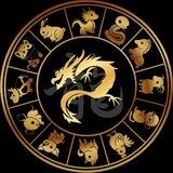 Year Of The Dragon $YOD - Portal