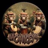 🐵 MONKEYS 🐵