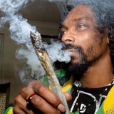 Snoop Wif Blunt Portal