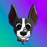 $ADA | The Solana Founders Dog
