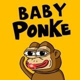 $BONKE | Baby Ponke CTO