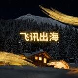 飞讯出海-WhatsApp直登号服务/ws全新直登号/WhatsApp高质量直登号