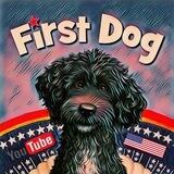 BO - THE FIRST DOG