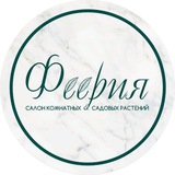 Комнатные растения Барнаул