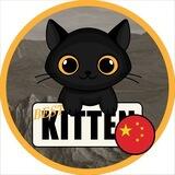 Kitten Chinese