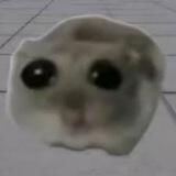 $HAMMY Community