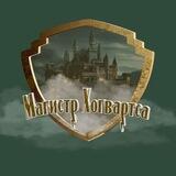 Магистр Хогвартса