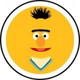 Bert $BERT