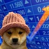 $WIF ERC Portal