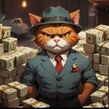 Cocaine Cat Solana